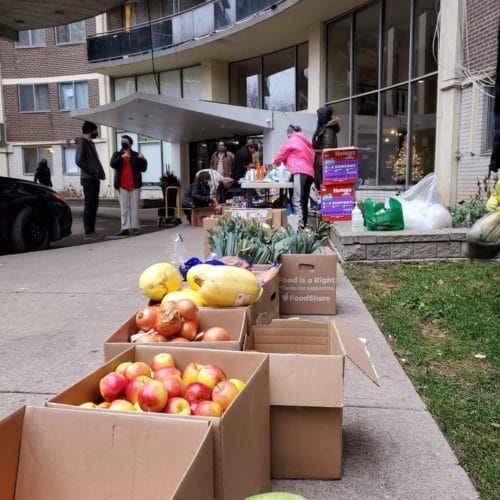boxes of donated food, lined up on the sidewalk leading up to the West Lodge apartment building.